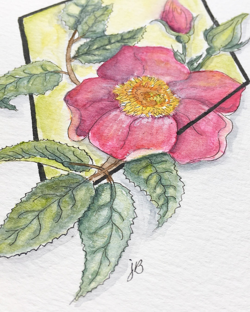 Geometric Roses