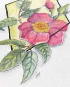 Geometric Roses