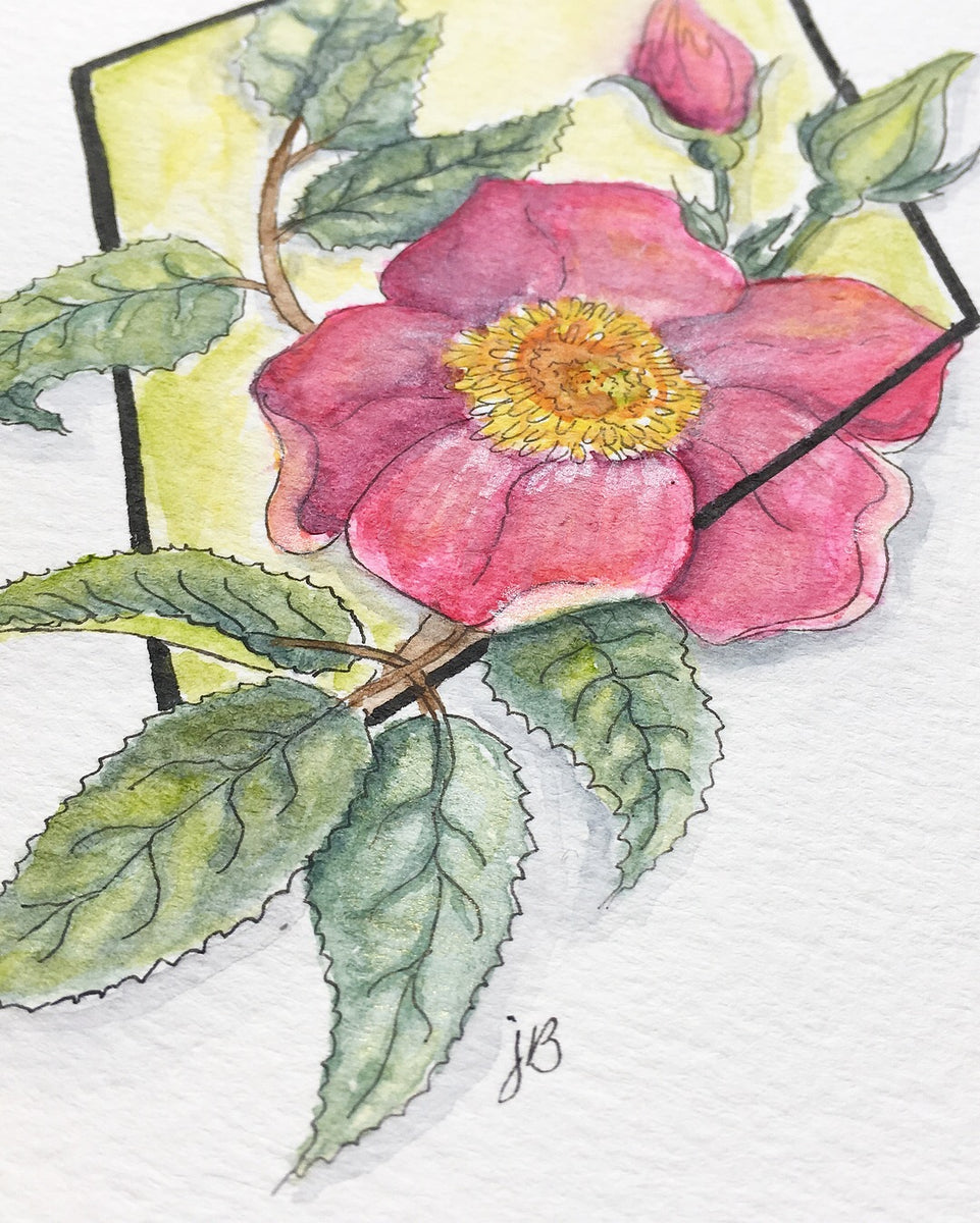 Geometric Roses – Jayme Burns Creative Studio