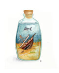 Bottled Wreck